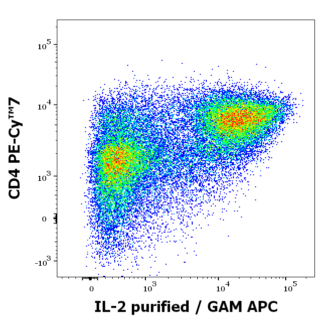 IL-2 Antibody