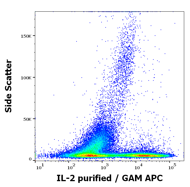 IL-2 Antibody