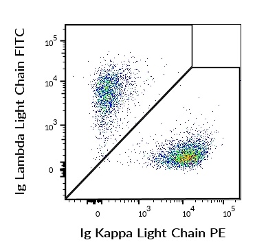 Ig Kappa Light Chain Antibody (PE)