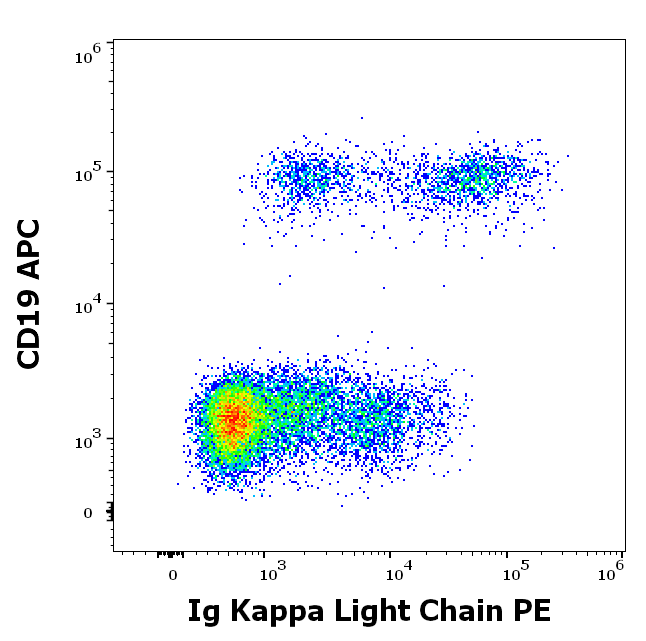 Ig Kappa Light Chain Antibody (PE)