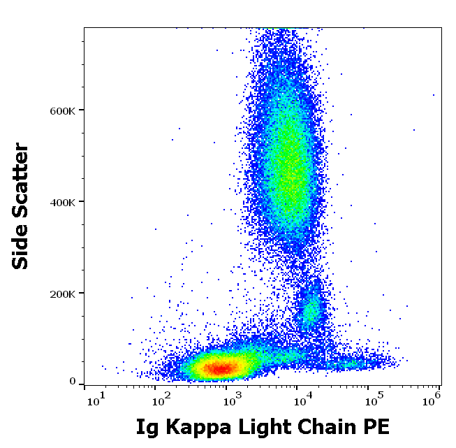 Ig Kappa Light Chain Antibody (PE)
