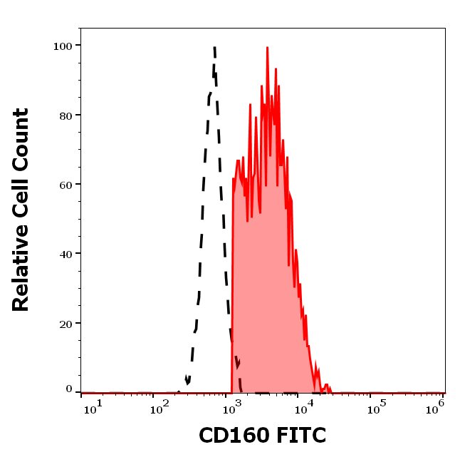 CD160 Antibody (FITC)