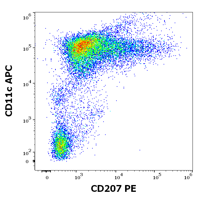 CD207 Antibody (PE)