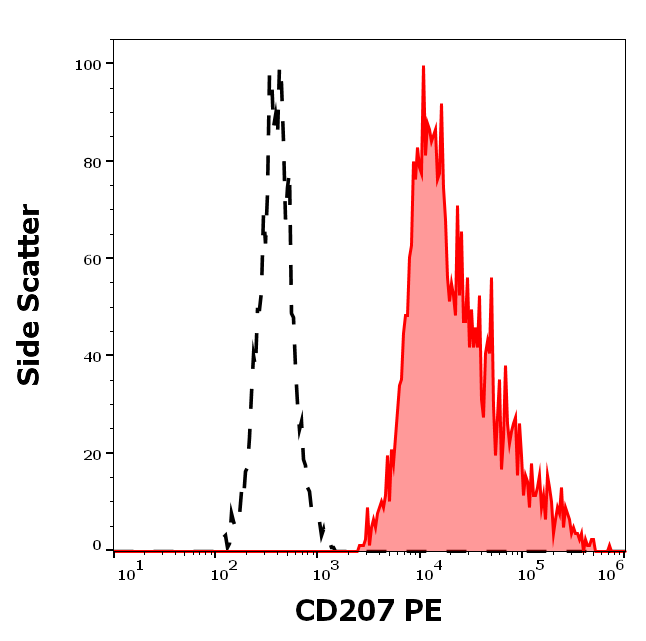 CD207 Antibody (PE)