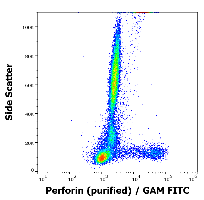 Perforin Antibody