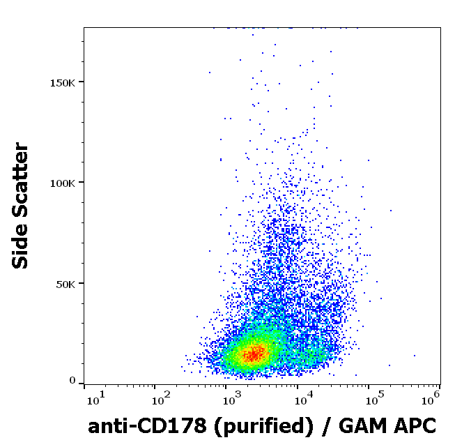 CD178 Antibody