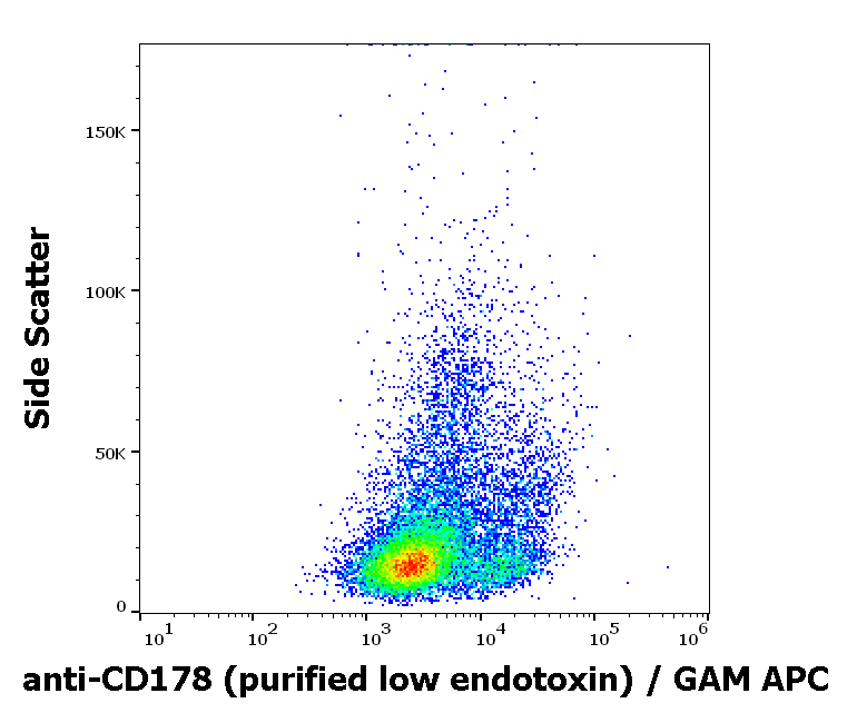 CD178 Antibody