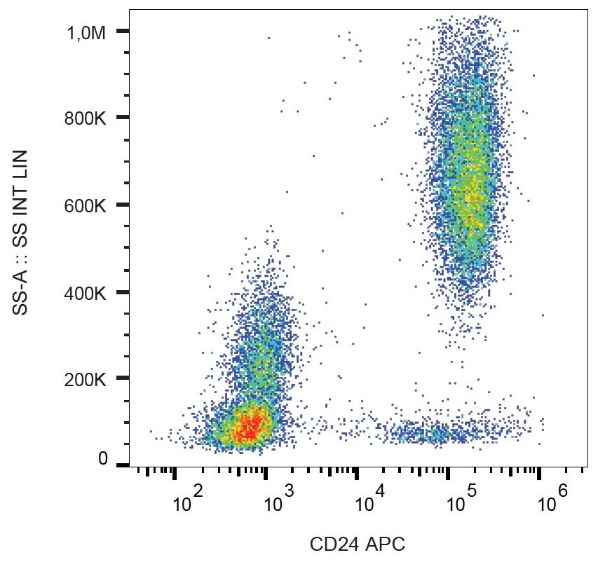 CD24 Antibody (APC)