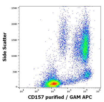CD157 Antibody