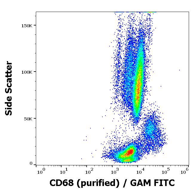 CD68 Antibody