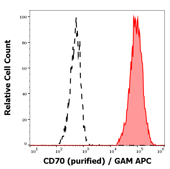 CD70 Antibody