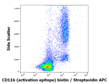 CD11b (activation epitope) Antibody (Biotin)