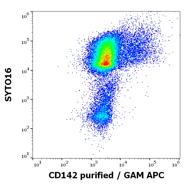 CD142 Antibody