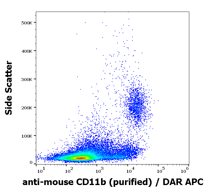 CD11b Antibody