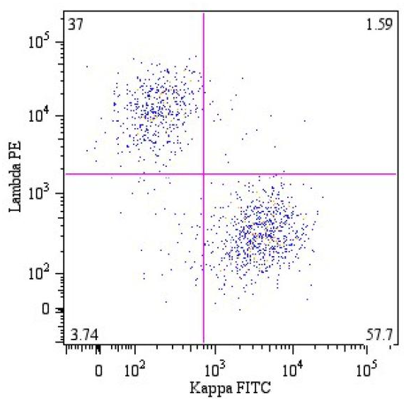 Ig Lambda Light Chain Antibody (PE)
