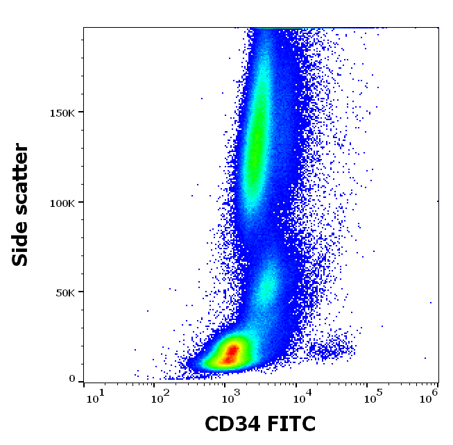 CD34 Antibody (FITC)