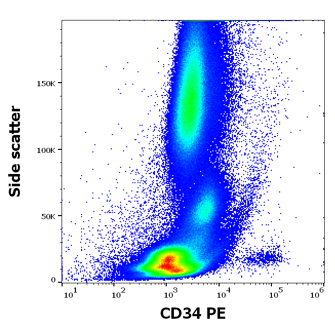 CD34 Antibody (PE)
