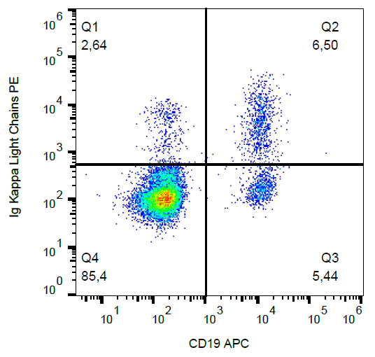 Ig Kappa Light Chain Antibody (PE)