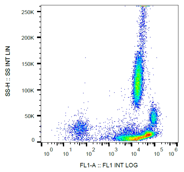 beta2-Microglobulin Antibody (FITC)