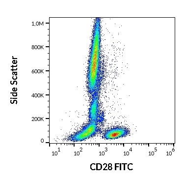 CD28 Antibody (FITC)