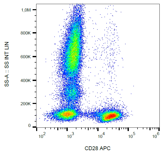 CD28 Antibody (APC)