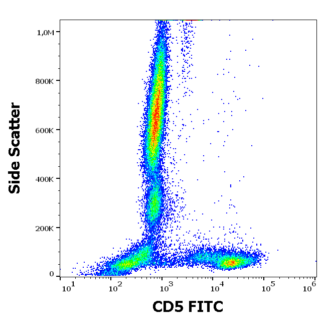 CD5 Antibody (FITC)