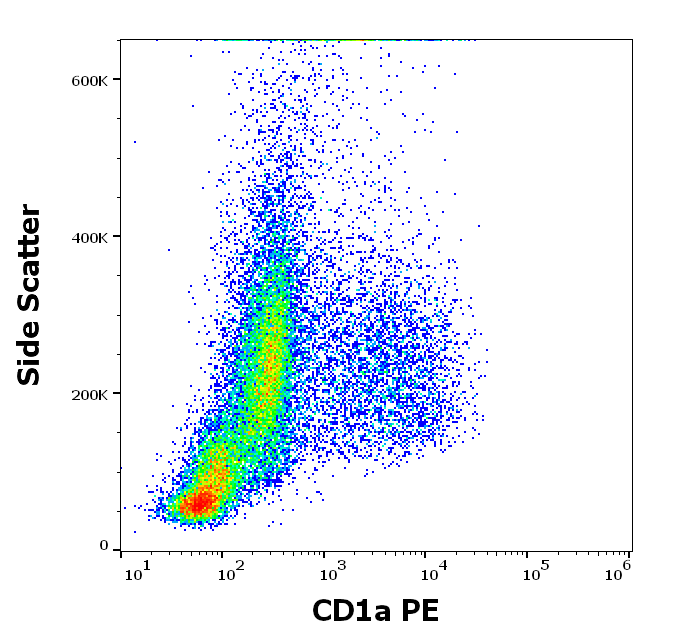 CD1a Antibody (PE)
