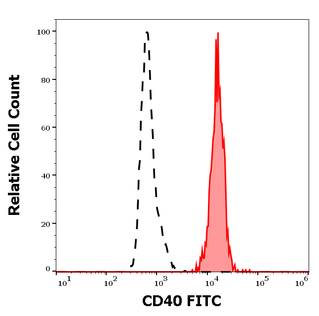 CD40 Antibody (FITC)