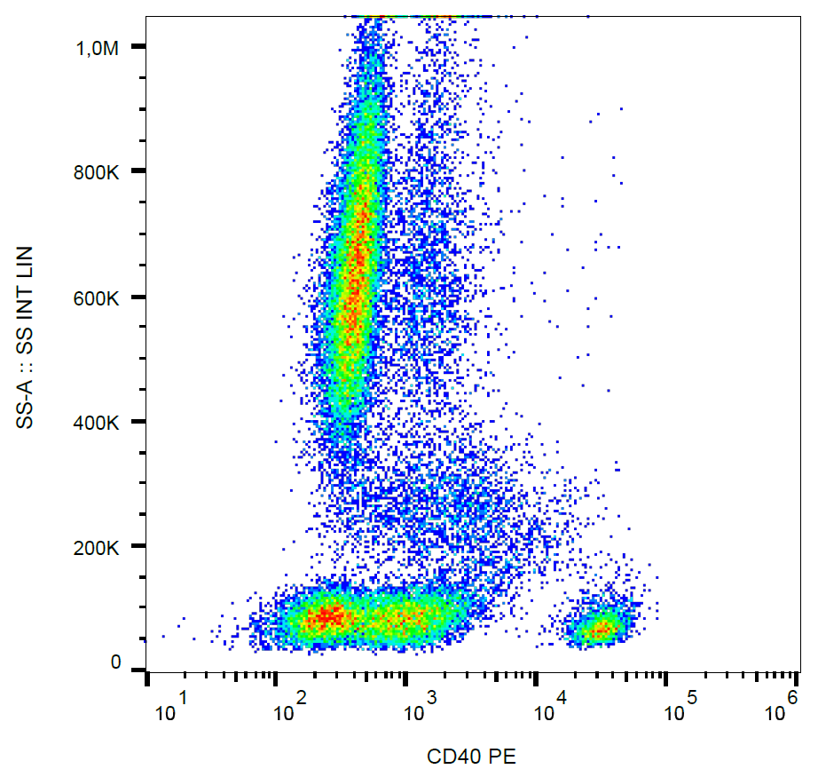 CD40 Antibody (PE)