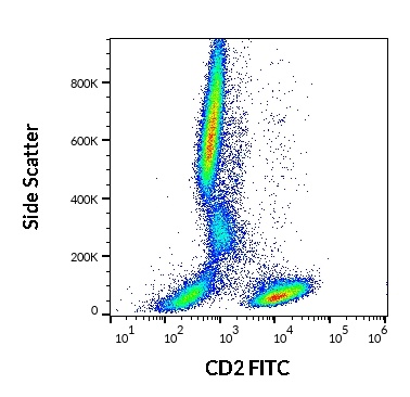 CD2 Antibody (FITC)