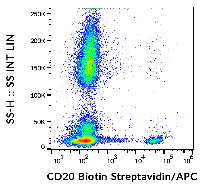 CD20 Antibody (Biotin)