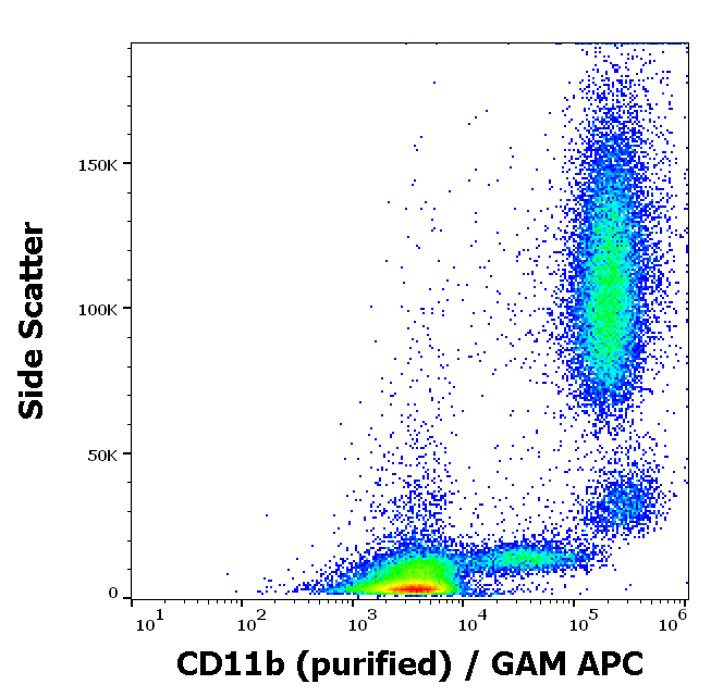 CD11b Antibody