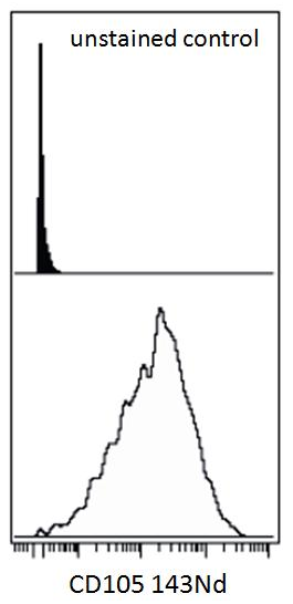 CD105 Antibody
