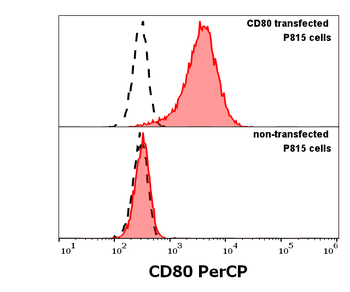 CD80 Antibody (PerCP)