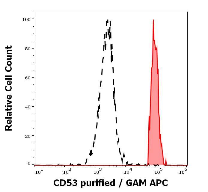 CD53 Antibody