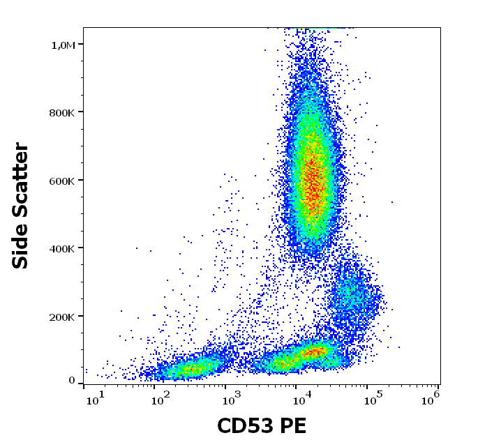 CD53 Antibody (PE)