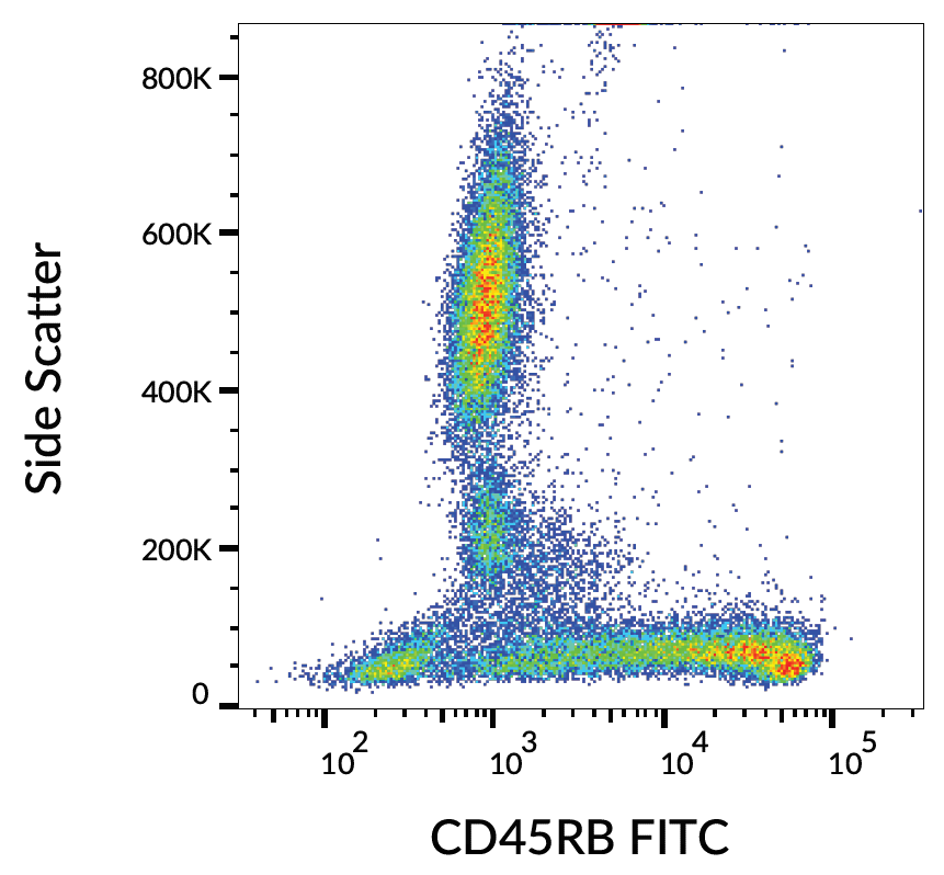 CD45RB Antibody (FITC)