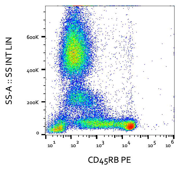 CD45RB Antibody (PE)