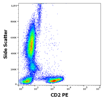 CD2 Antibody (PE)