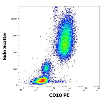 CD10 Antibody (PE)