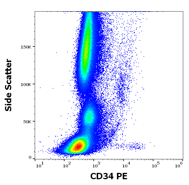 CD34 Antibody (PE)