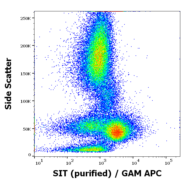 SIT Antibody