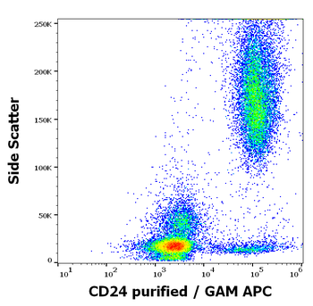 CD24 Antibody