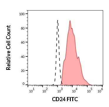 CD24 Antibody (FITC)