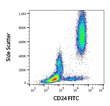CD24 Antibody (FITC)