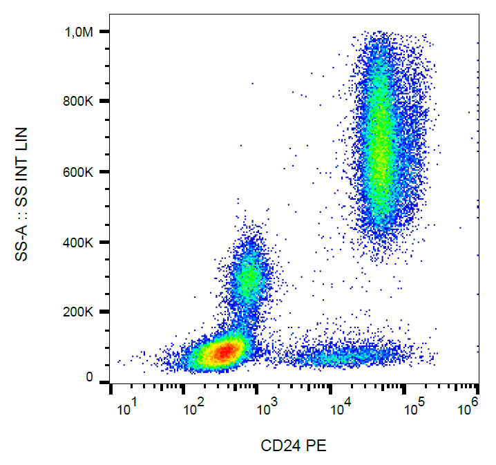 CD24 Antibody (PE)
