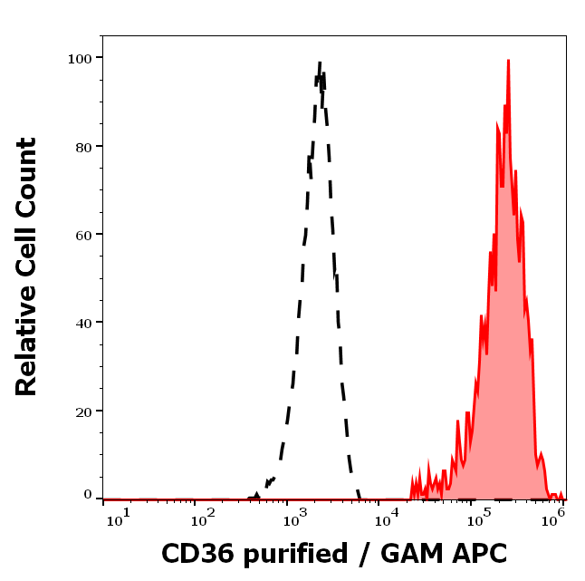 CD36 Antibody