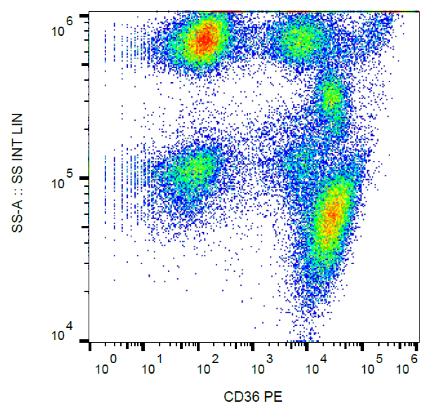 CD36 Antibody (PE)