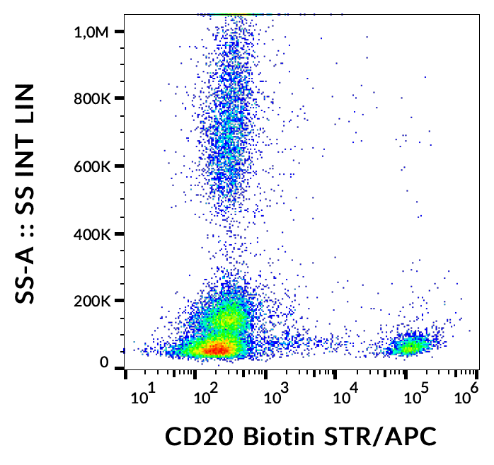 CD20 Antibody (Biotin)