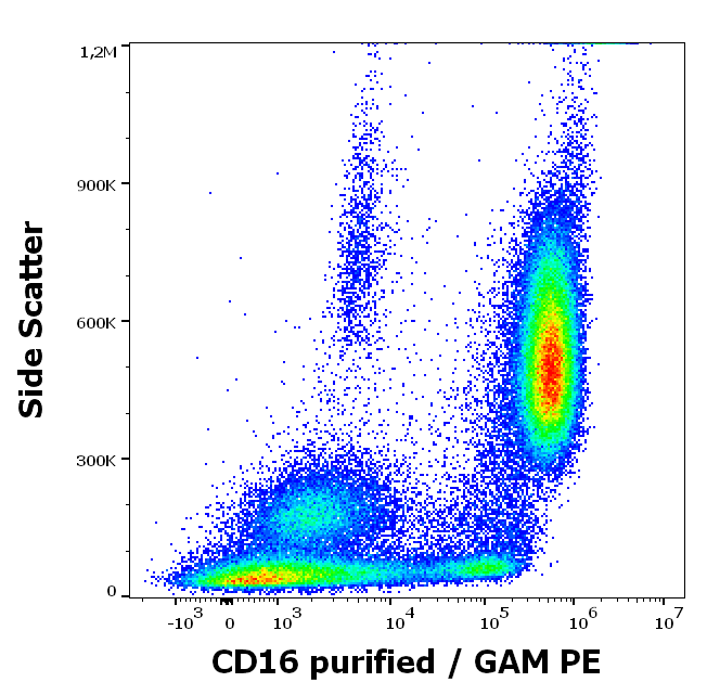 CD16 Antibody